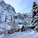 Ringstrasse 324 By Interhome Daire *